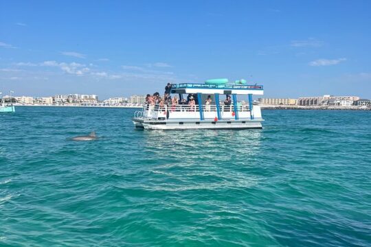 One Hour Harbor Shared Tour with Dolphin Watching