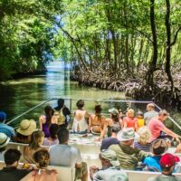 Eco Tours