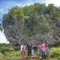 Shore Excursions