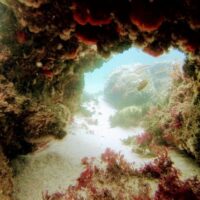 Snorkeling
