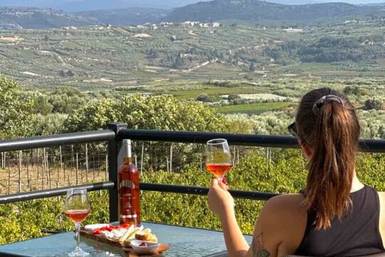Wine & Dine at Stylianou Winery: An Exquisite Tasting Experience
