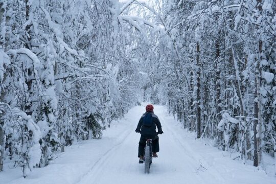 Electric Fatbike Tour in Winter