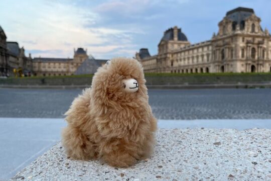 3-Hours Walking Tours Around Paris - Choose your own!