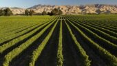 Wonderful wine tour with Jim and the Marlborough Tour Company