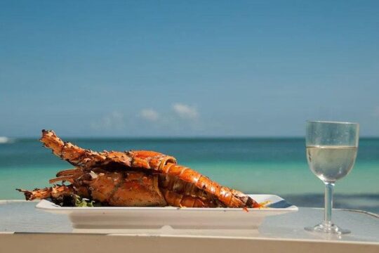 Saona Island Day Trip + Lobsters & Wine Included
