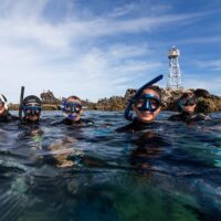 Full-day Tours