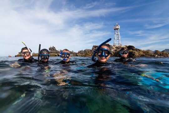 Espíritu Santo Island snorkel and sightseeing tour on Small Group
