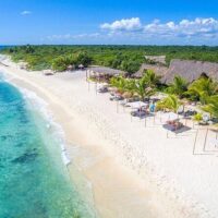 Airport & Ground Transfers
