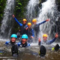 Shore Excursions