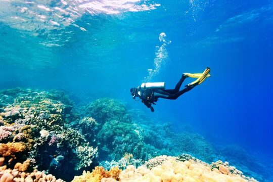 Kusadasi Scuba Diving Experience w/Instructor incl. Transfer