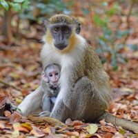 Walking & Biking Tours