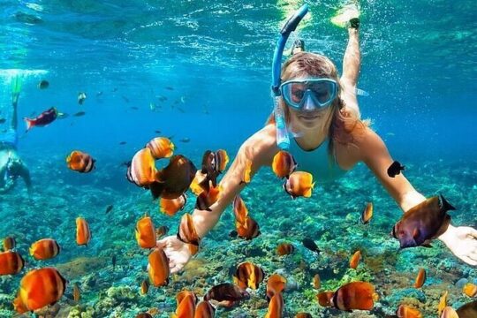 Private Buggy Tour and Punta Sur Park in Cozumel: All-Inclusive