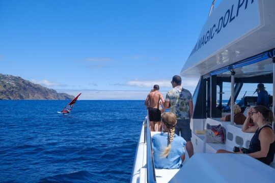 Madeira Dolphin and Whale Watching on a Ecological Catamaran