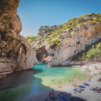 Tours & Sightseeing