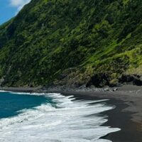 Shore Excursions