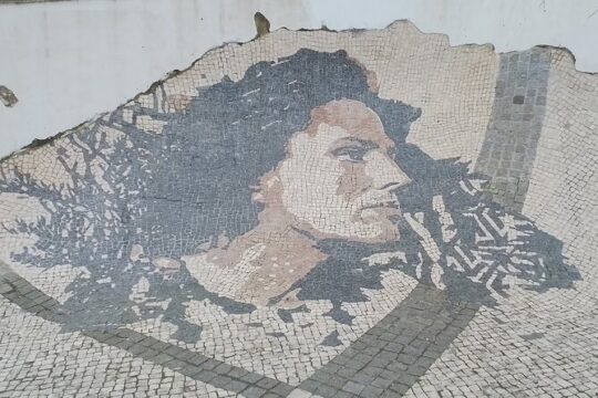 Historical Private Walking Tour of Lisbon