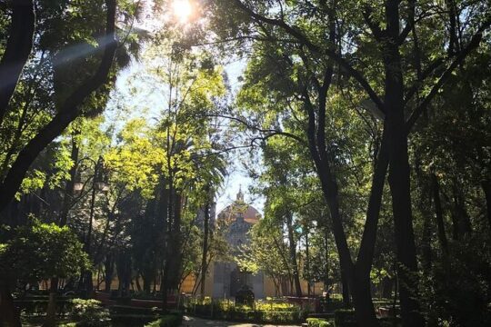 EXCLUSIVE TOUR of the Old Quarter of Coyoacan - small groups