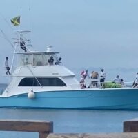 Self-guided Tours & Rentals