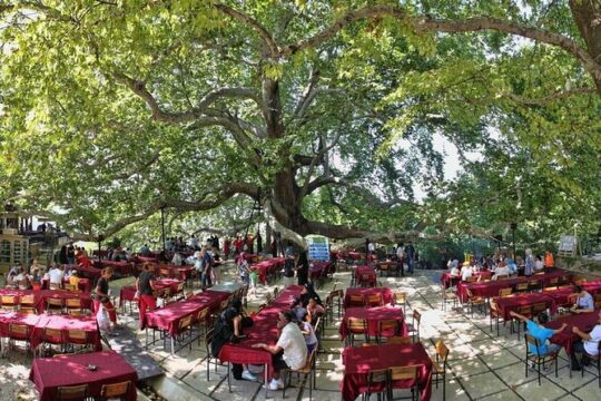 Daily Bursa Uludag Mountain & Cable Car Tour with Lunch from Istanbul