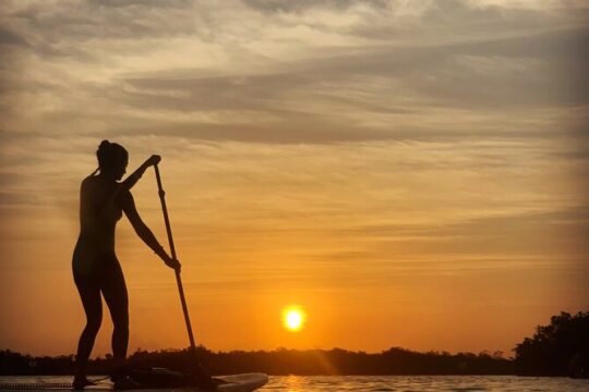 Private Paddleboard Experience in Bacalar