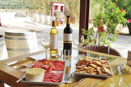 Arrábida Palmela Azeitão (Wine and Tapas) Private Tour