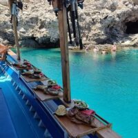 Day Trips & Excursions