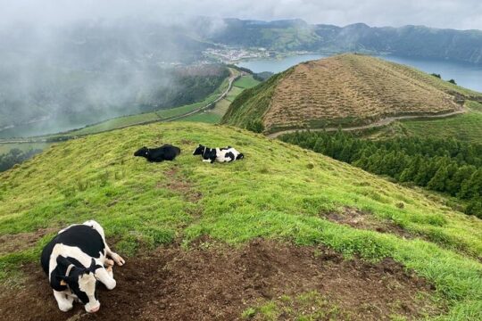 4x4 Half Day - Sete Cidades Tour