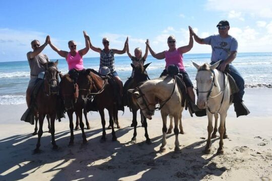 Horseback Riding Tour Adventure on the Beach