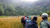 Amazing Experience