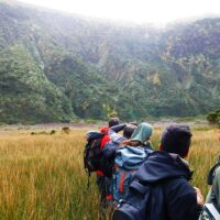 Walking & Biking Tours