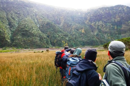 Descent to Caldeira do Faial - The Perfect Adventure