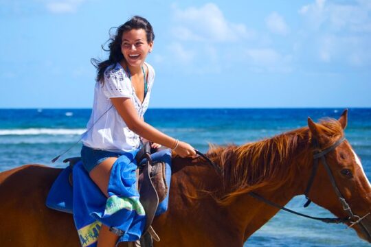 Falmouth Shore Excursion: Braco Stables Horseback Ride and Swim