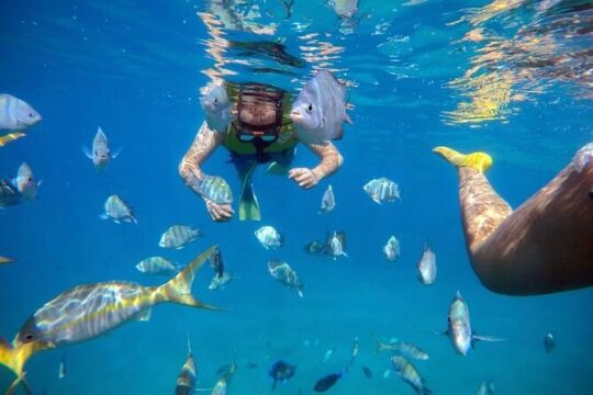 Sosua Party Boat -Snorkeling-Brunch-Drinks-Snacks-Transportation
