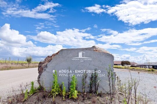 Private Wine Tour Alentejo
