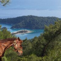 Horseback Riding