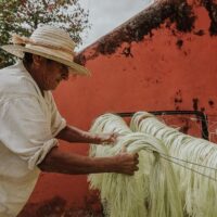 Multi-day & Extended Tours