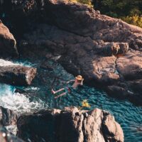 Bus & Minivan Tours
