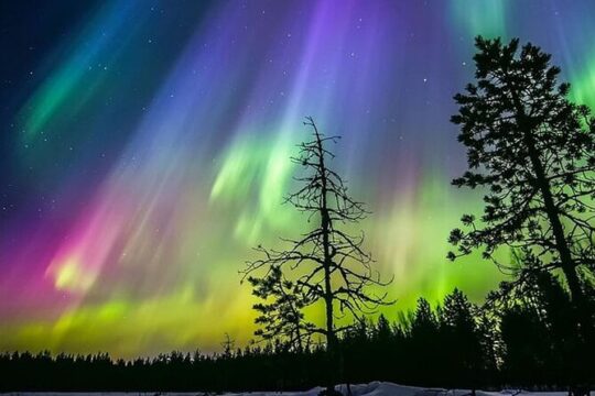 Ice Floating in Forest Lake with Aurora Borealis