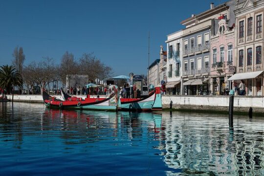 Moliceiro Boat Tour on the Ria de Aveiro
