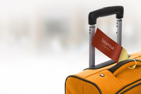 1-Day Private Istanbul Layover Tour