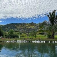 Day Trips & Excursions