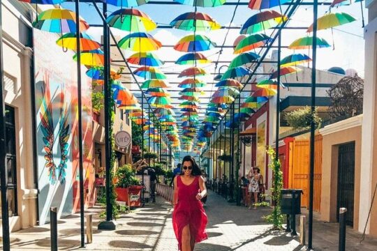 Half Day Tour in Puerto Plata