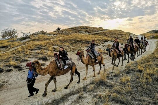 Camel Safari in Cappadocia