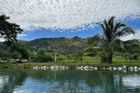 16 Lines Zipline, Cave and Mud Spa Combo Tour with Lunch in Fiji