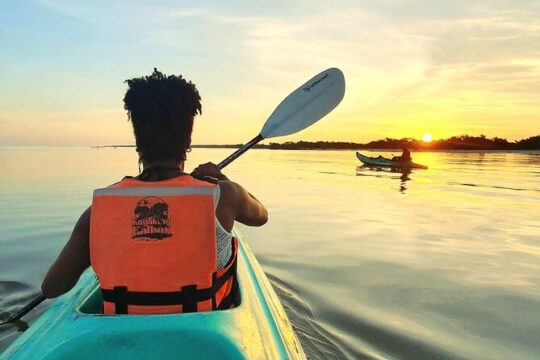 Kayak Mangroves Sunrise Experience