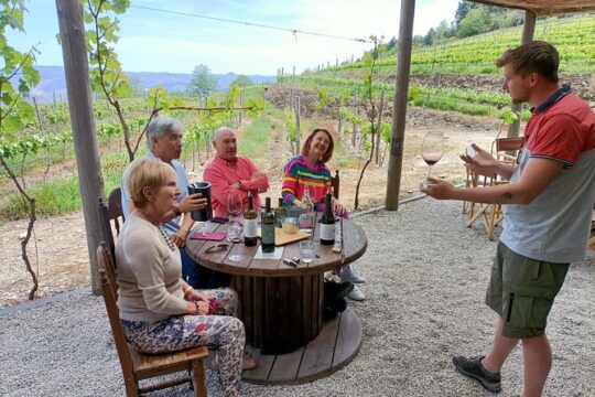 Lesson and Wine Tasting for Small Groups in Pinhão