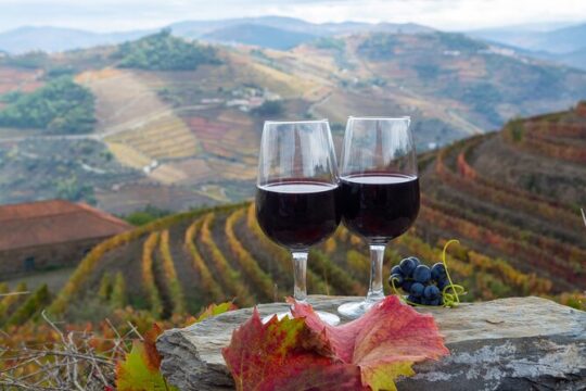 Private Tour Douro Valley from Porto