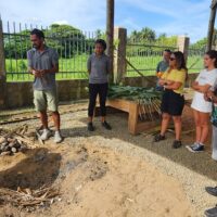 Cooking Classes