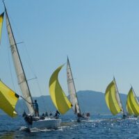 Cruises, Sailing & Water Tours