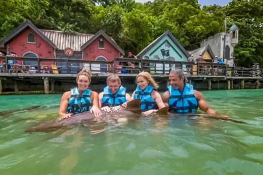 Private Excursion to Mystic Mountain and Dolphin Cove